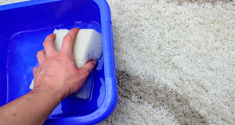 7 passos simples para limpeza de tapetes em casa